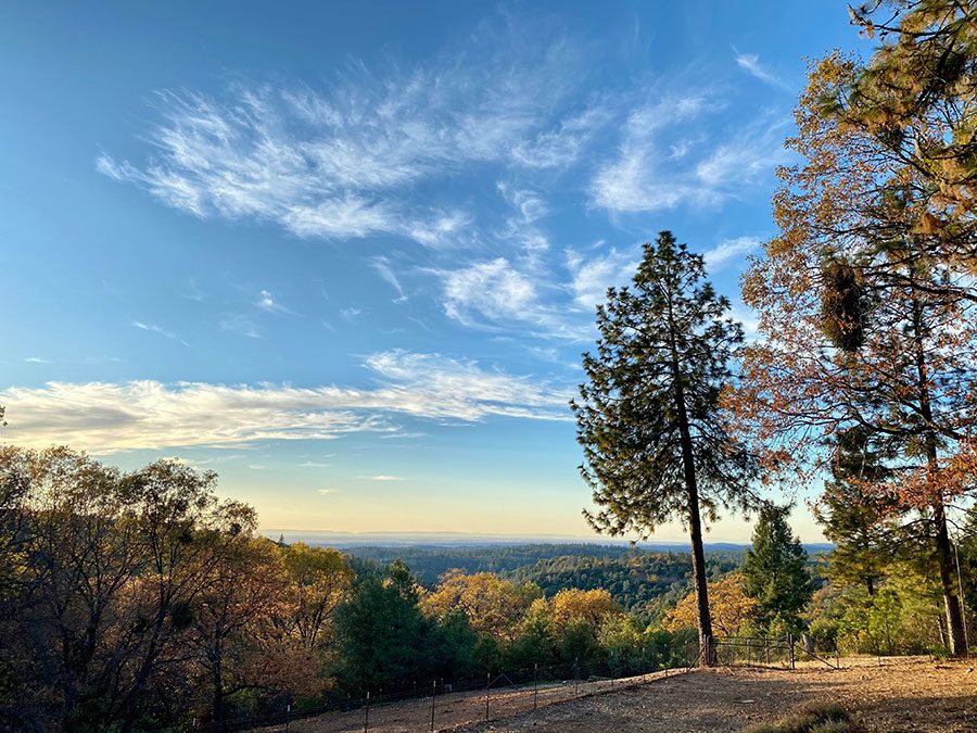 A scenic view from Amador County