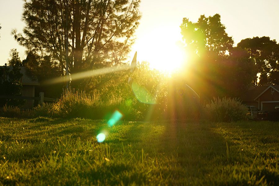 A sunset in a park in Chico, CA.