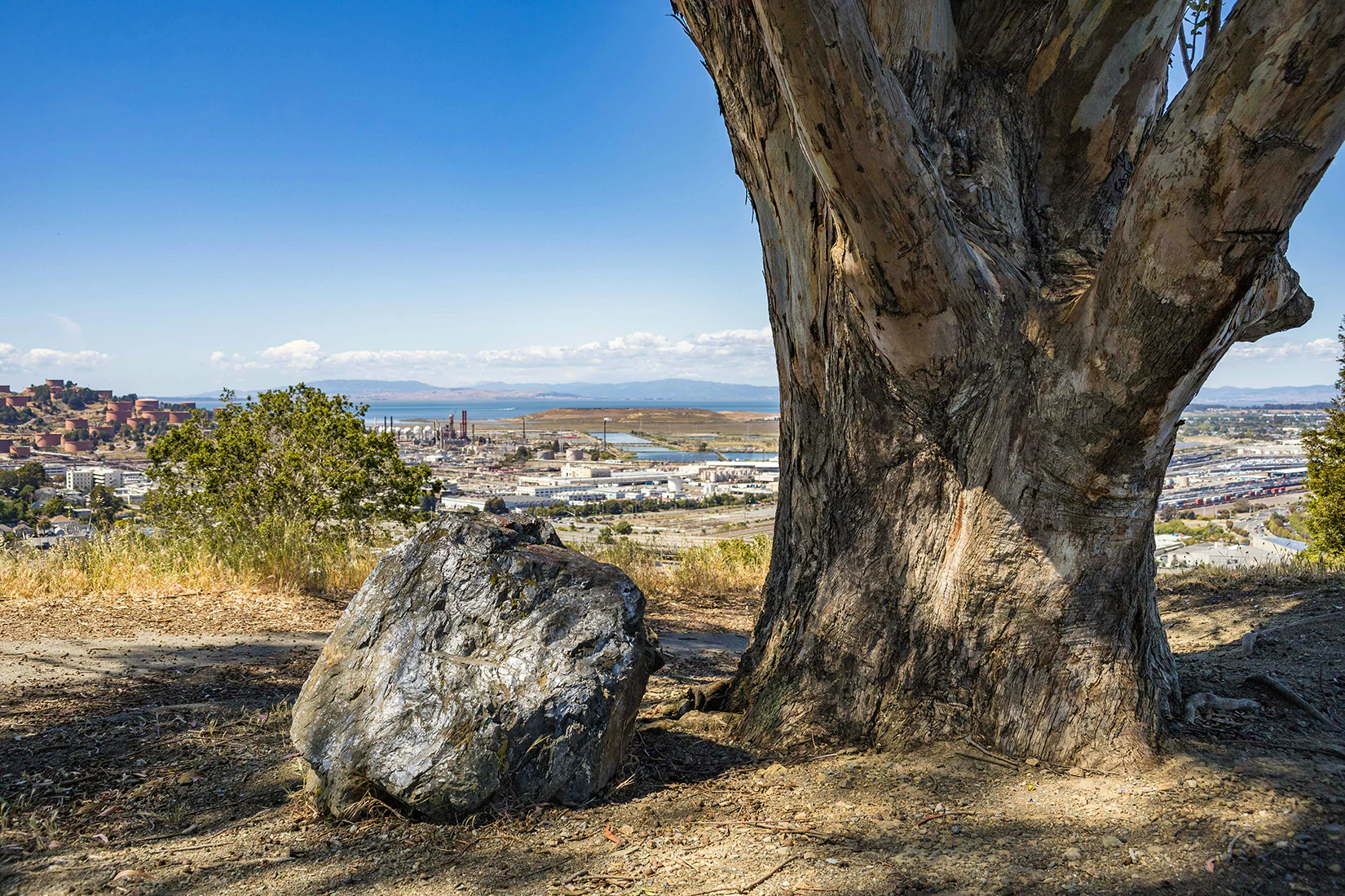 A hillside overlooking Vallejo, CA.